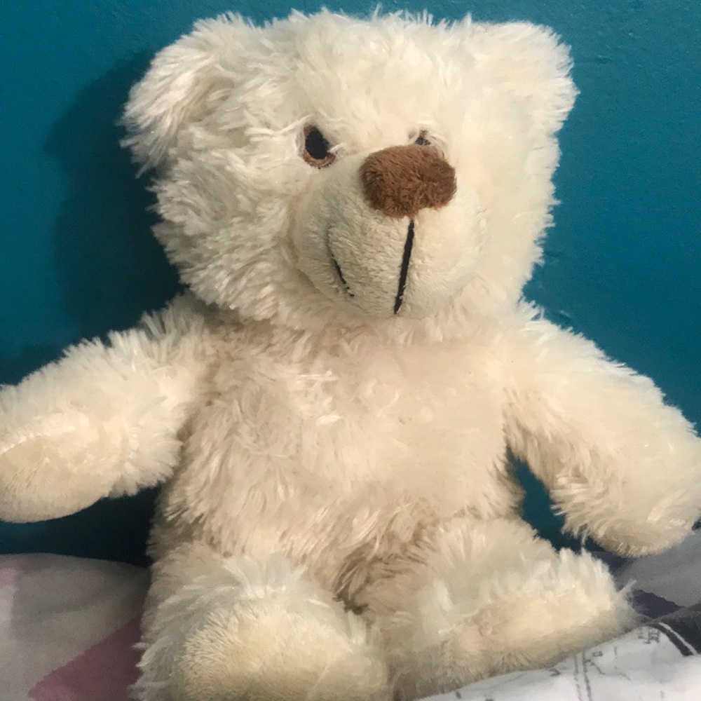 Stuffed Bear